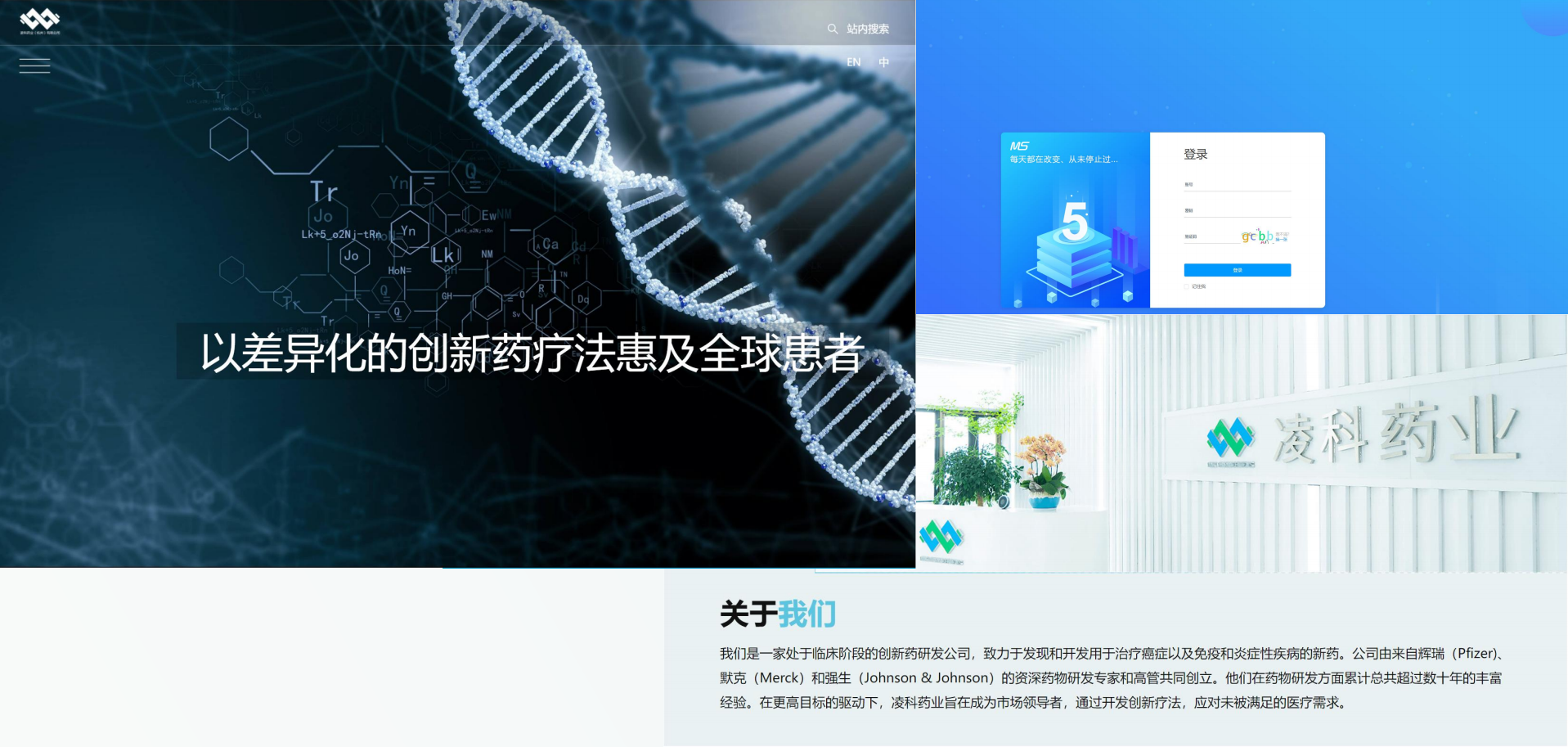 凌科药业官网建设